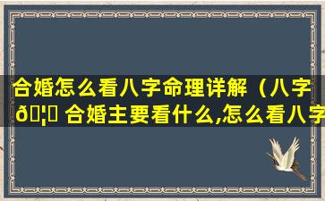 合婚怎么看八字命理详解（八字 🦋 合婚主要看什么,怎么看八字合不合）